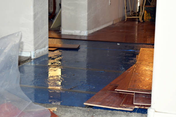 Professional Sewage Cleanup technician working in Brooksville, ME